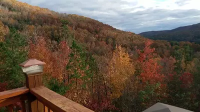 Smokies View 31