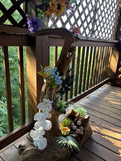 Smokies View 43