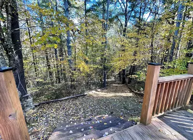 Hemlock Heaven 20