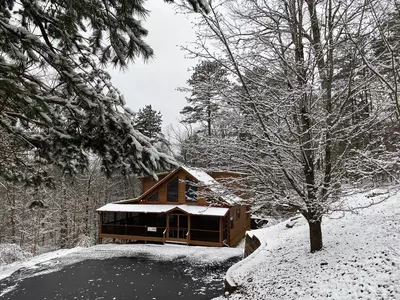 Bear Haven 20