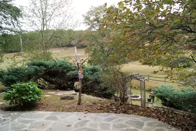 Nana's Creekside 31