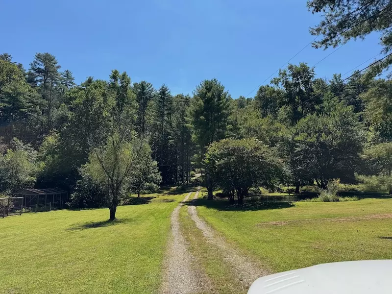 Long Term Rental - #675 yard and driveway