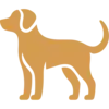 icon1