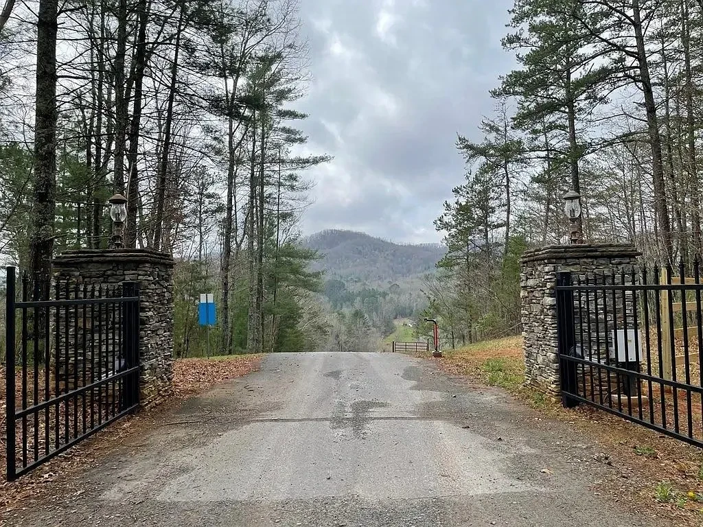 Smokies View