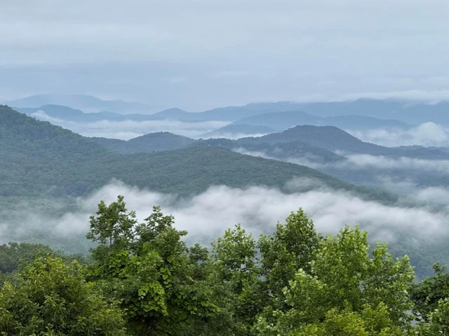 Deer in the Clouds