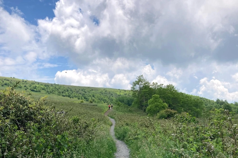 NC hiking trail