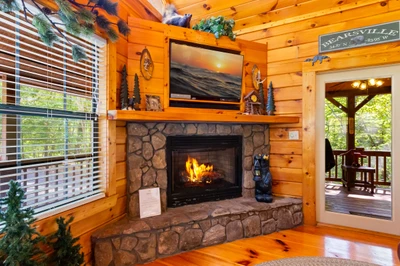Bear Haven