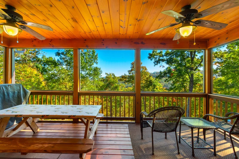 One Away Cabin-Wrap-around Porch