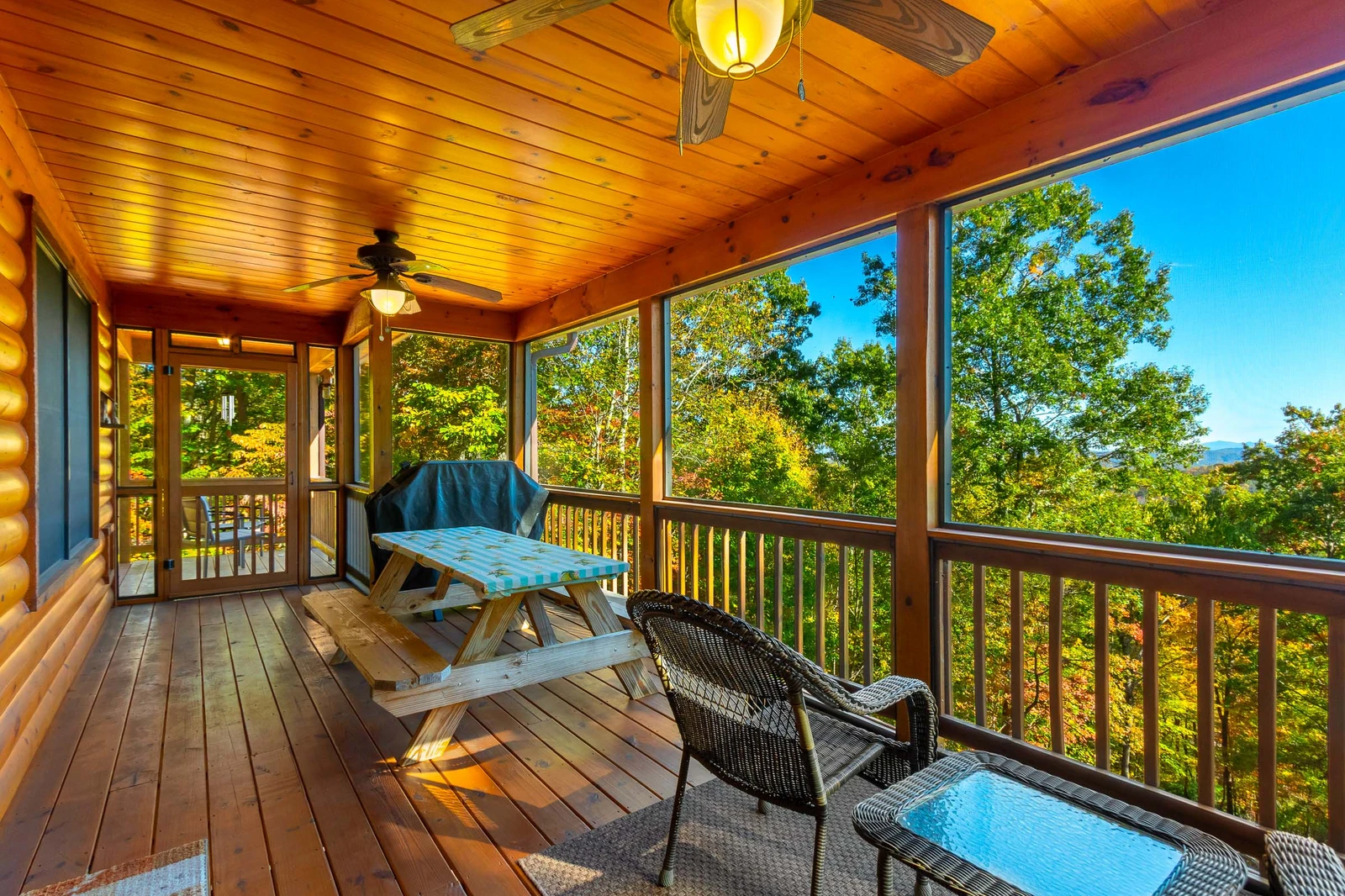 One Away Cabin-Wrap-around Porch