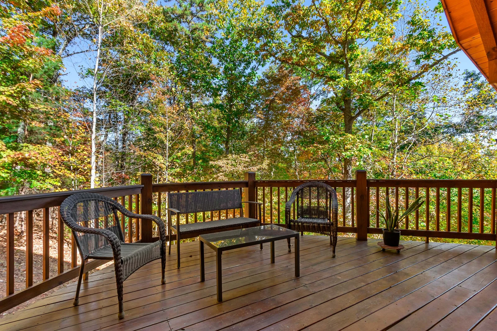 One Away Cabin-Wrap-around Porch