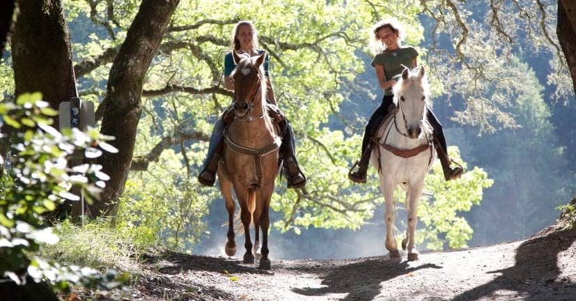 friends riding horses on nature trail