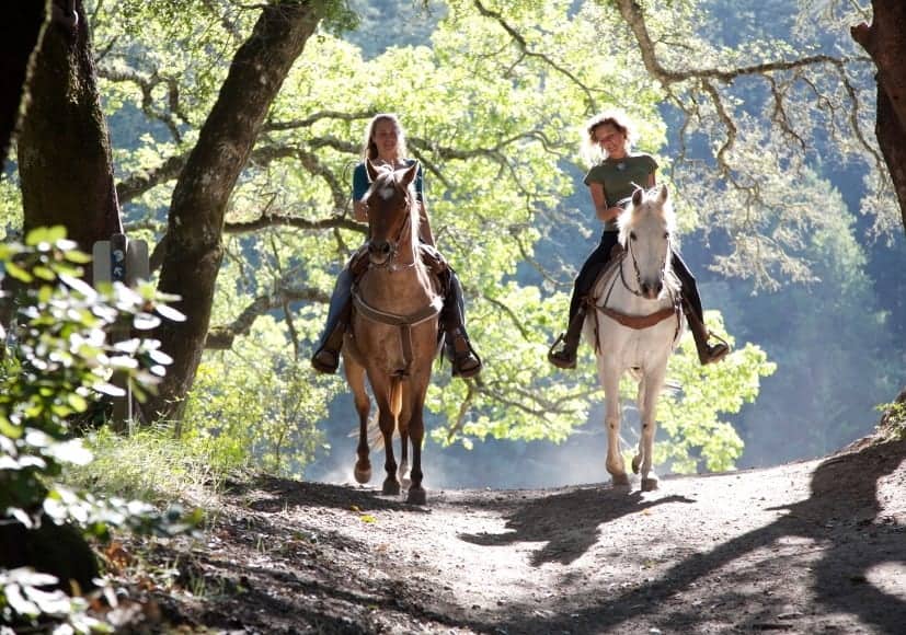 friends riding horses on nature trail