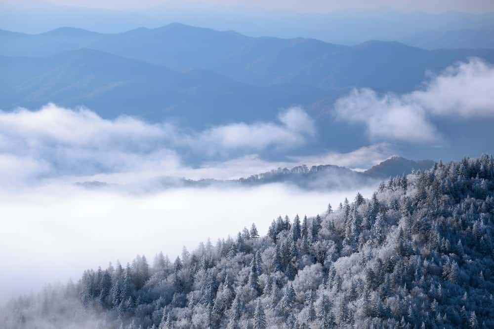 Snowy scene in the Smoky Mountains