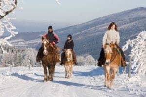Horseback riding through a winter landscape