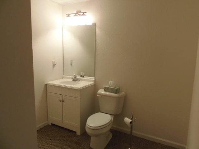 The toilet and sink in the bathroom of a Murphy NC vacation rental.