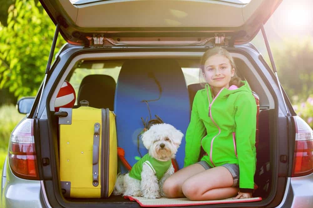 Little girl with her dog packed for vacation in the car