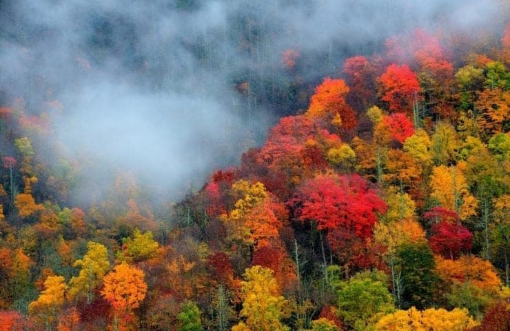 Beautiful fall colors in the mountains of North Carolina.