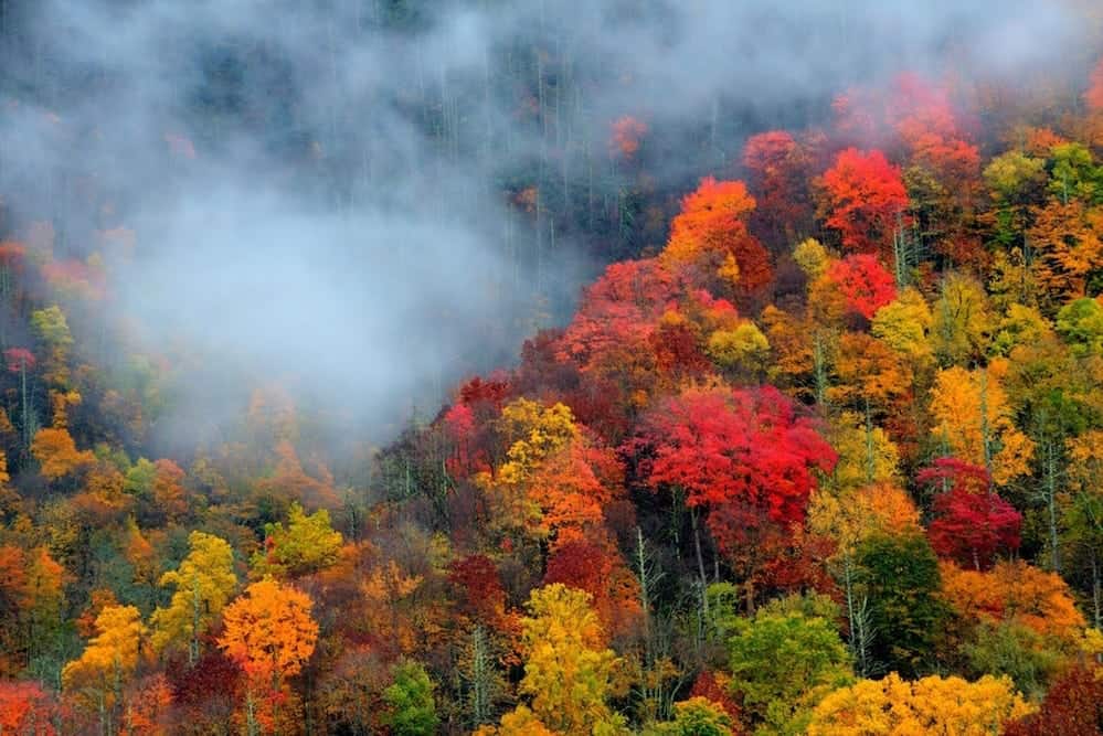 Beautiful fall colors in the mountains of North Carolina.