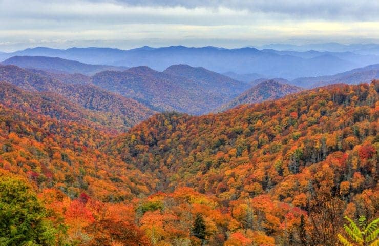fall foliage in north carolina mountains