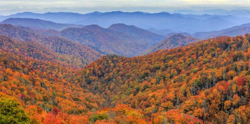 fall foliage in north carolina mountains