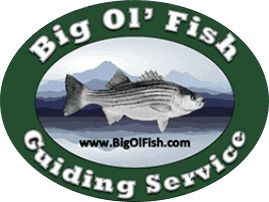 big ol fish guiding service logo